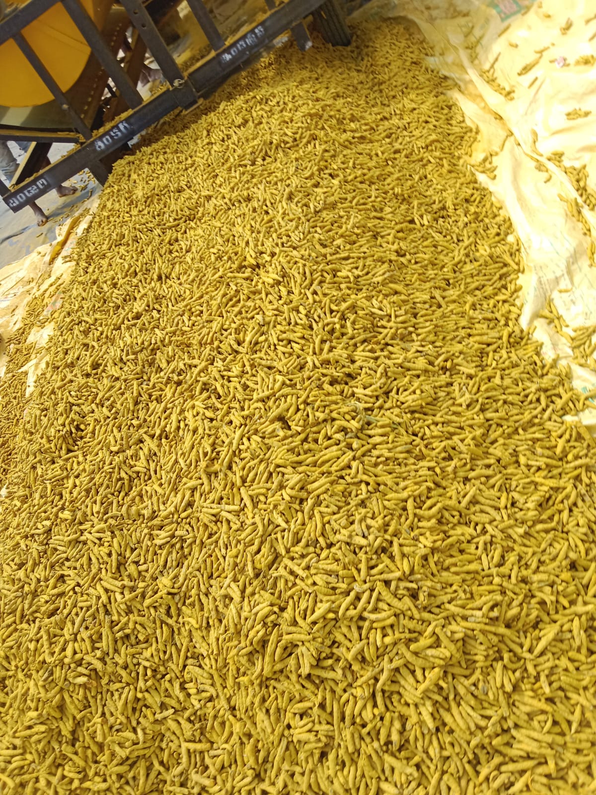 Neeli%20group%20of%20companies