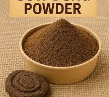 WhatsApp Image 2026-02-10 at 8.22.49 PM