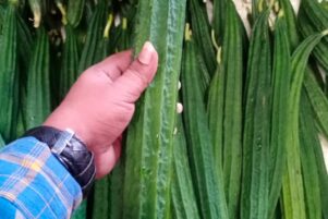 WhatsApp Image 2026-02-10 at 8.22.51 PM (1)