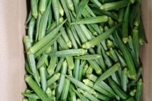 WhatsApp Image 2026-02-10 at 8.22.51 PM (2)