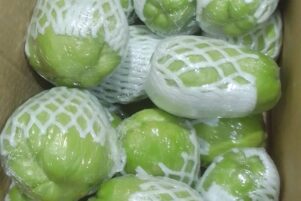 WhatsApp Image 2026-02-10 at 8.22.52 PM (1)