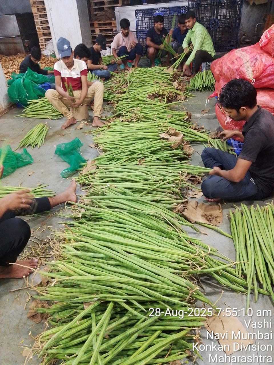 WhatsApp Image 2026-02-10 at 8.22.52 PM (2)