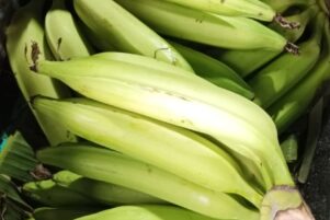 WhatsApp Image 2026-02-10 at 8.22.52 PM