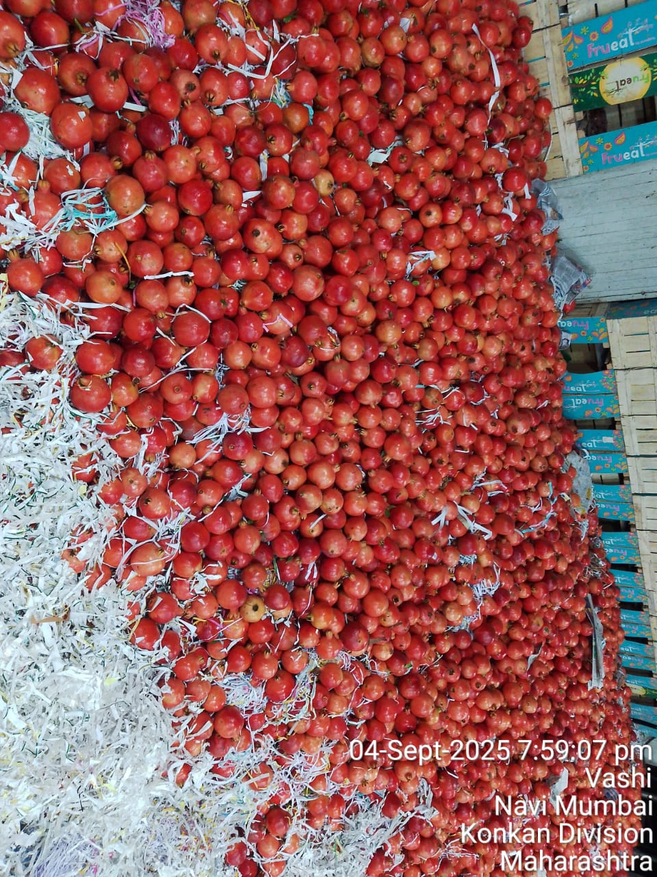 Neeli%20group%20of%20companies