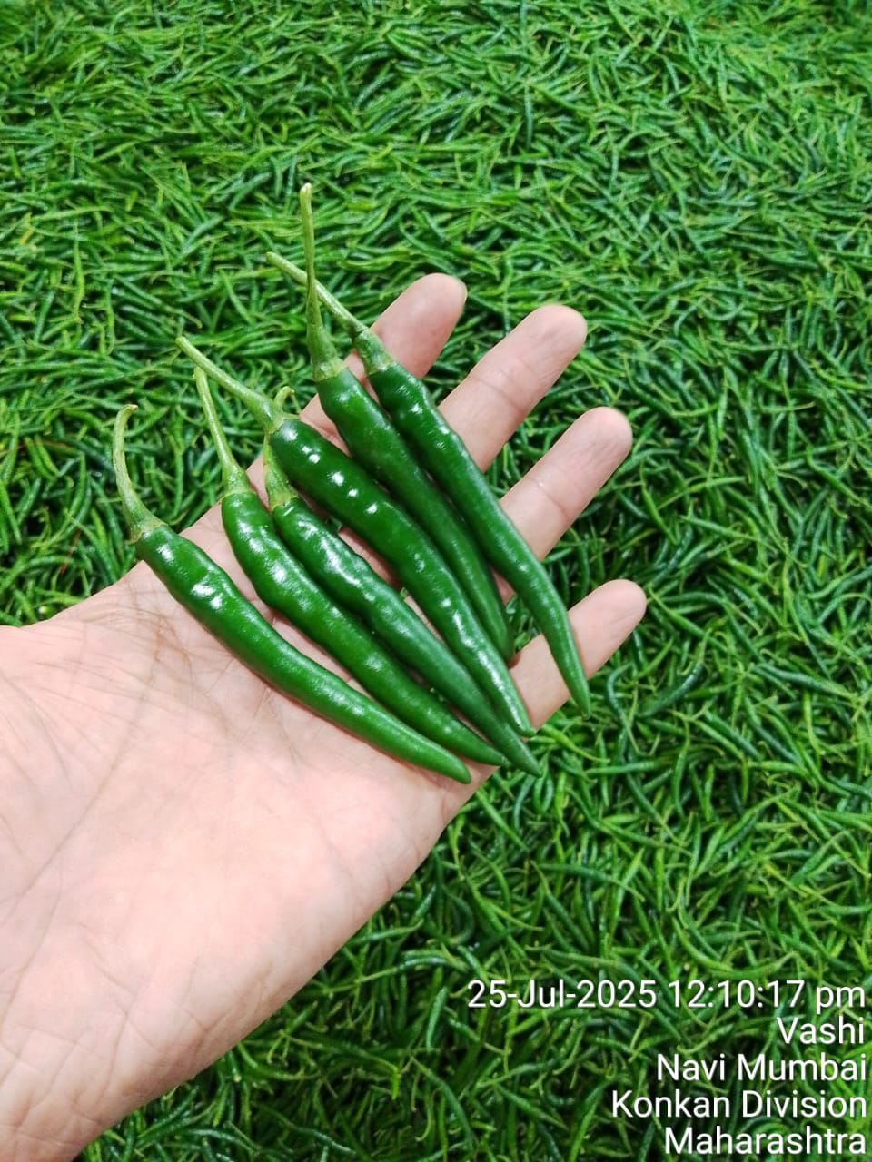 WhatsApp Image 2026-02-10 at 8.22.53 PM (2)