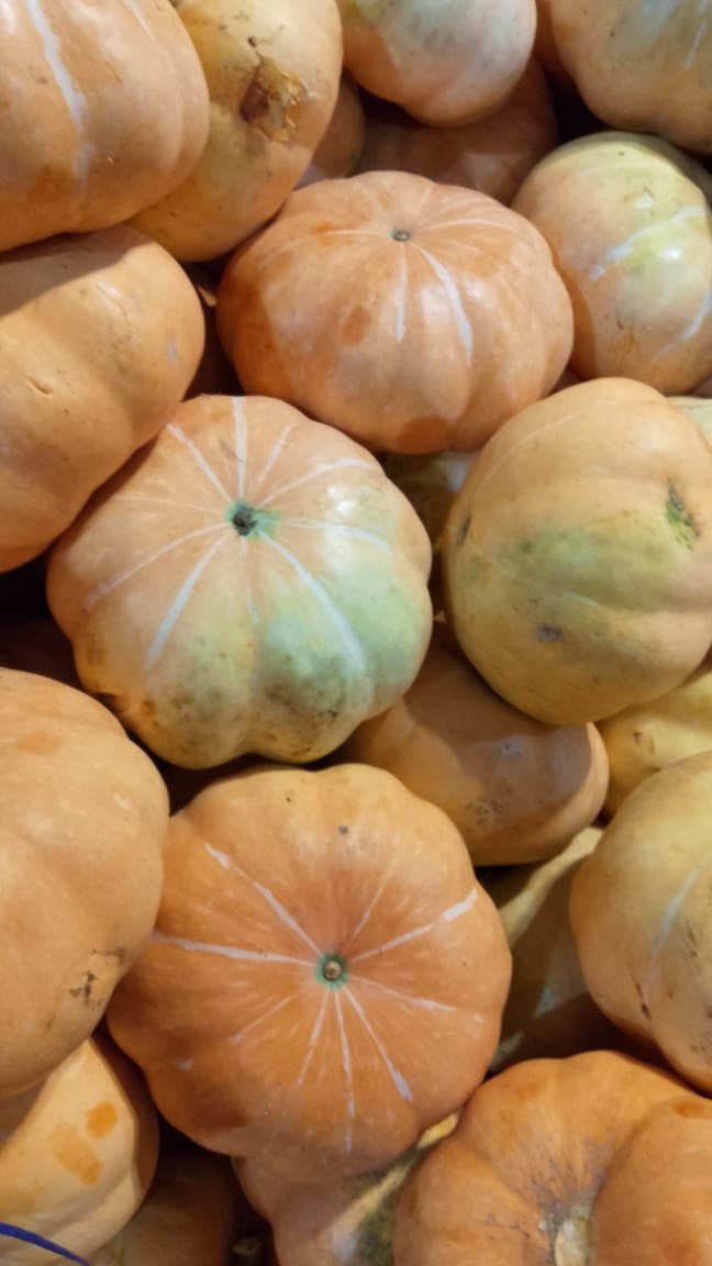 Neeli%20group%20of%20companies