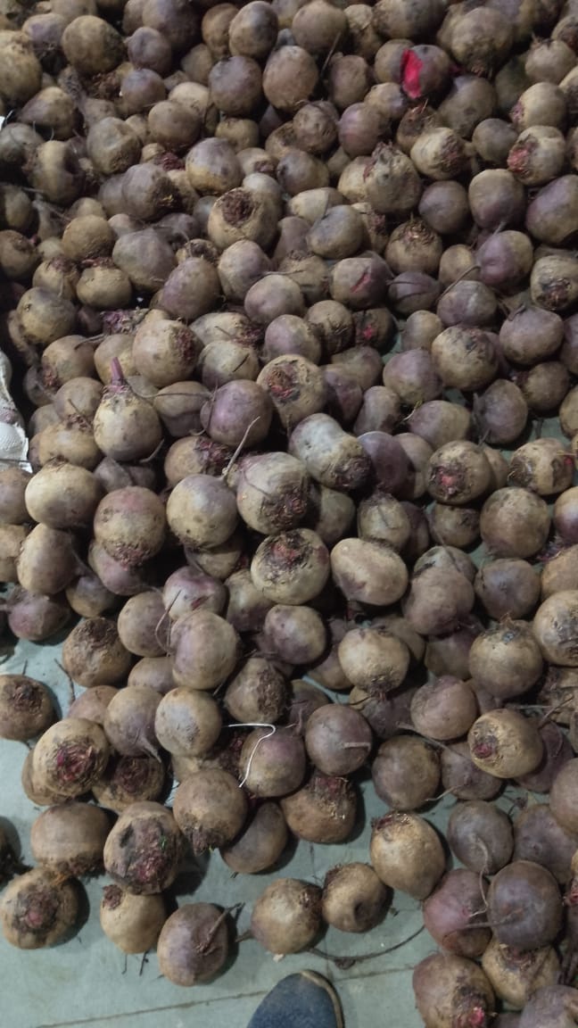 WhatsApp Image 2026-02-10 at 8.22.54 PM