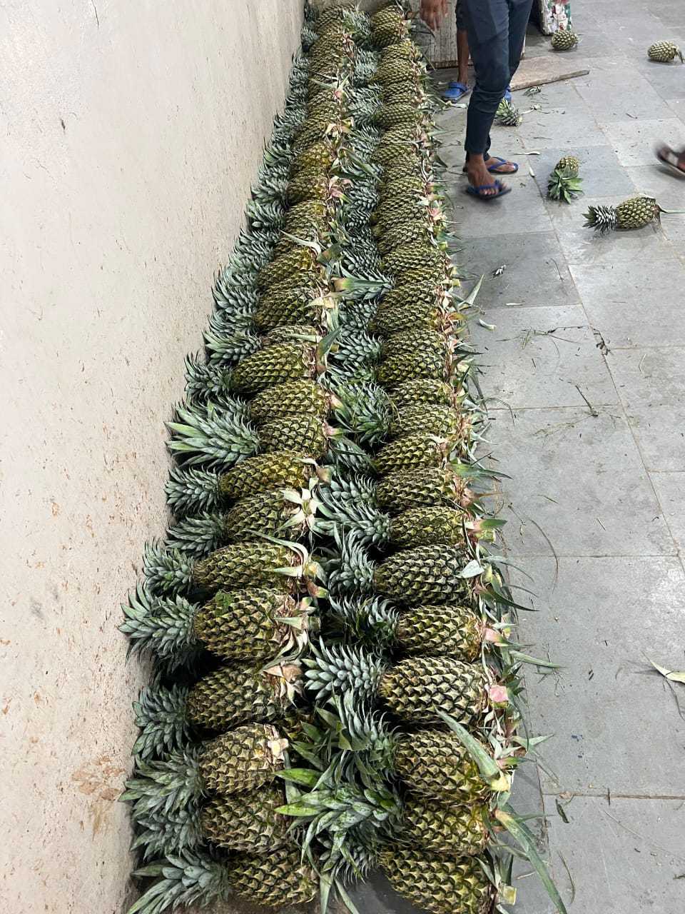 WhatsApp Image 2026-02-10 at 8.22.55 PM