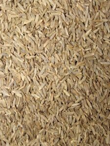 WhatsApp Image 2026-02-10 at 8.22.55 PM (2)