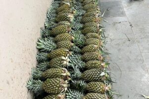 WhatsApp Image 2026-02-10 at 8.22.55 PM