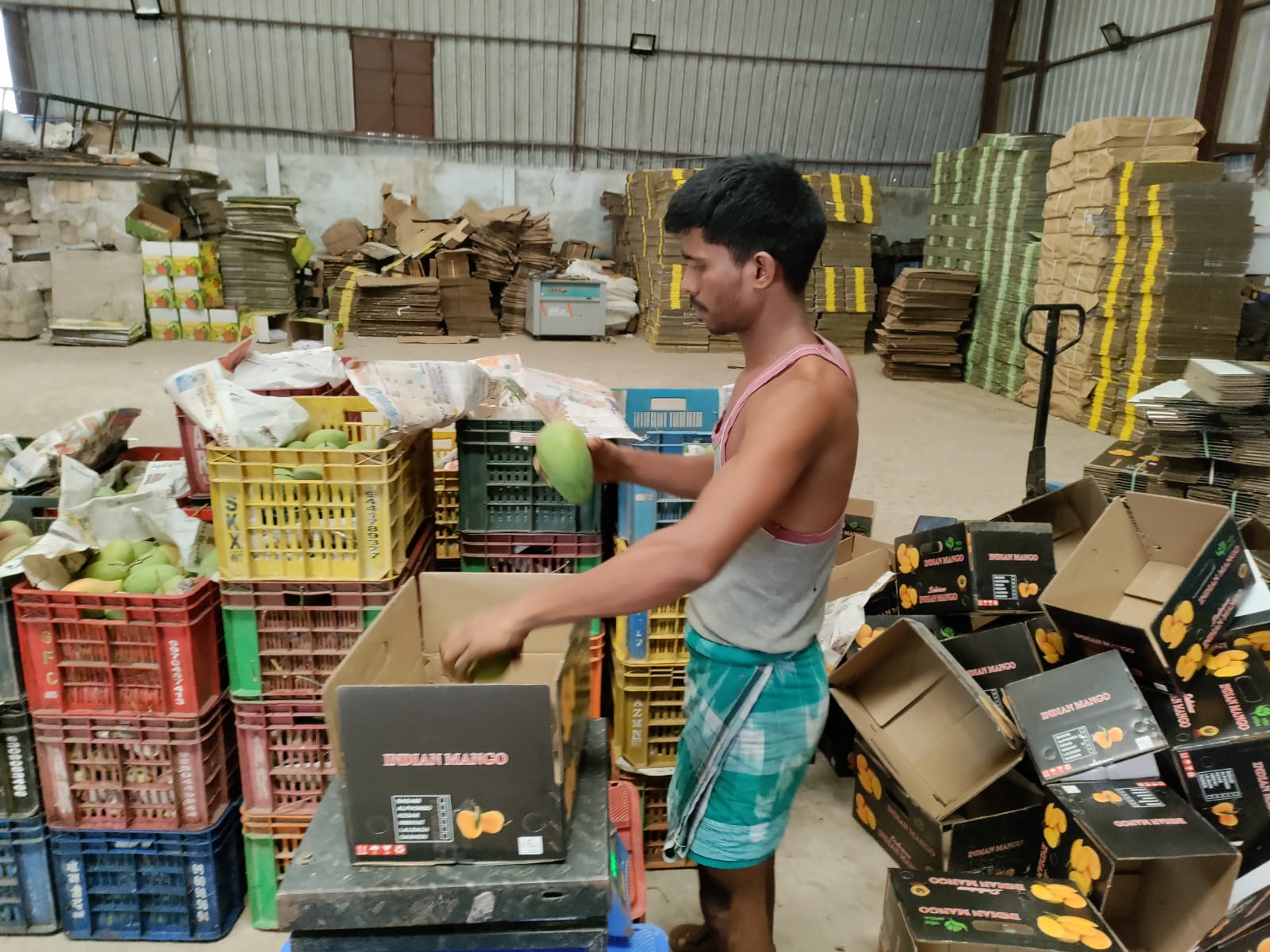 WhatsApp Image 2026-02-10 at 8.22.56 PM (1)