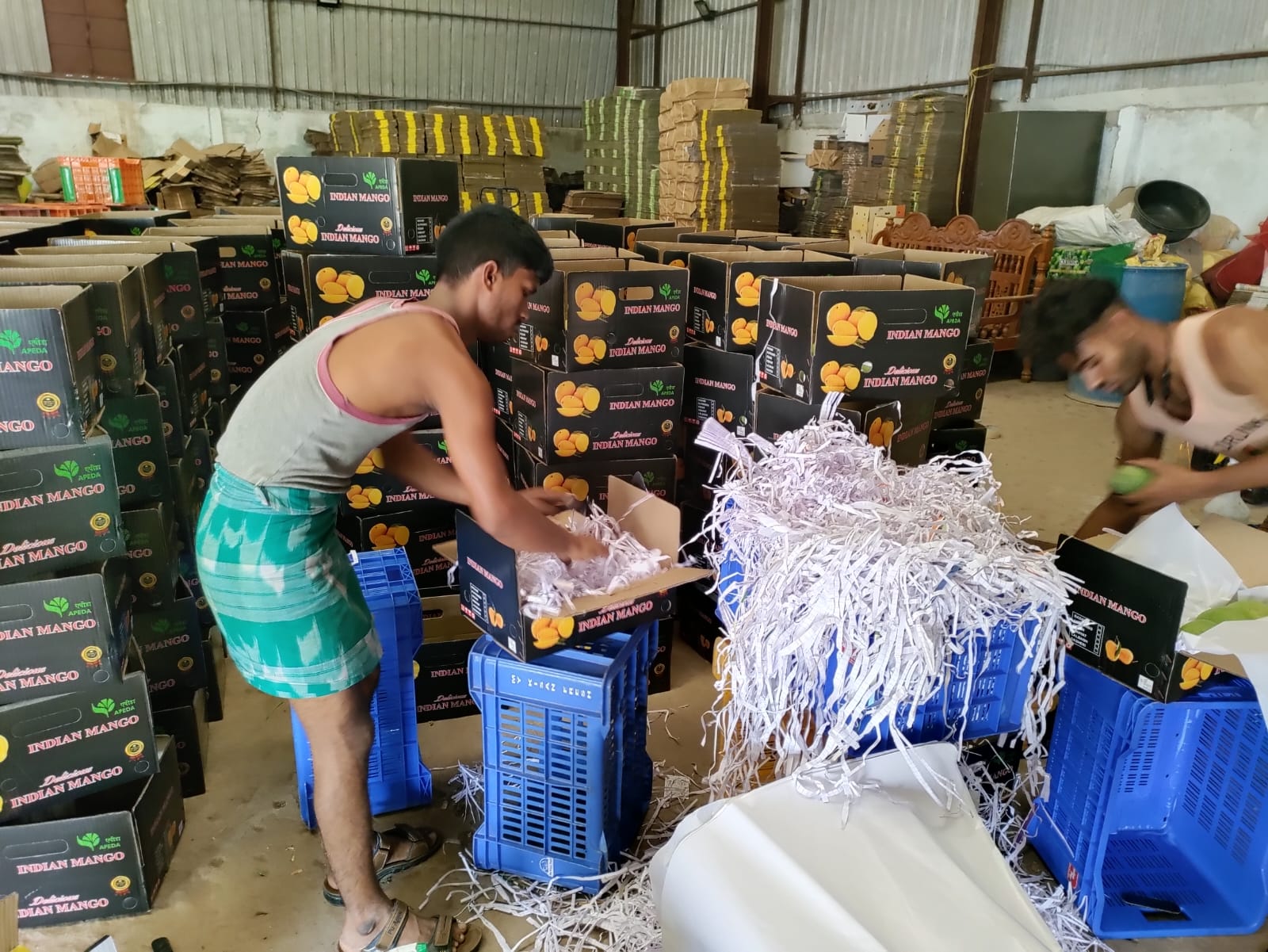 WhatsApp Image 2026-02-10 at 8.22.56 PM (2)