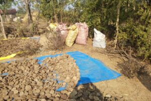 WhatsApp Image 2026-02-10 at 8.31.29 PM