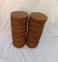 WhatsApp Image 2026-02-10 at 8.31.38 PM