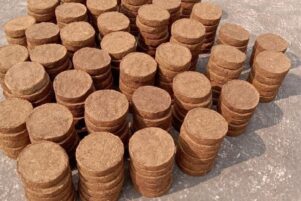 WhatsApp Image 2026-02-10 at 8.32.14 PM