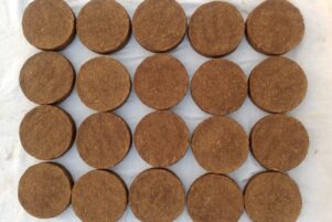 WhatsApp Image 2026-02-10 at 8.32.20 PM