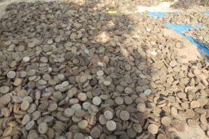 WhatsApp Image 2026-02-10 at 8.32.28 PM