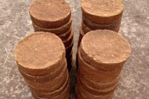 WhatsApp Image 2026-02-10 at 8.32.30 PM