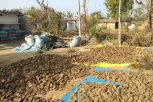 WhatsApp Image 2026-02-10 at 8.32.54 PM